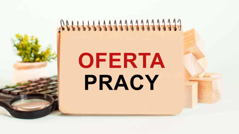 Produkcja serów w Holandii - 17 €/h brutto